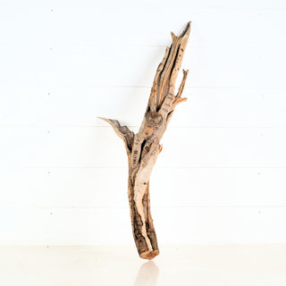 Aquarium Manzanita Driftwood 27" individually photographed with sculpted natural form, manzanita for pets aquarium terrarium