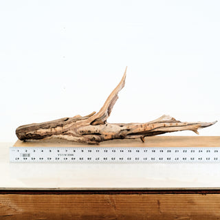 Aquarium Manzanita Driftwood 27 individually photographed with sculpted aged wood form, manzanita for pets aquarium terrarium