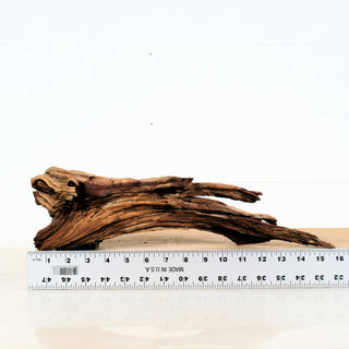 Aquarium Manzanita Driftwood 16" individually photographed with twisted natural wood grain, manzanita for pets aquarium terrarium