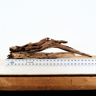 Aquarium Manzanita Driftwood 20-26" individually photographed with natural texture, manzanita for pets décor piece.