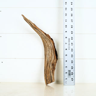 Micro Manzanita Driftwood 12"