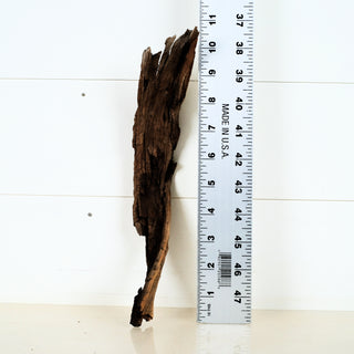 Micro Manzanita Driftwood 10.75"