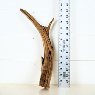 Micro Manzanita Driftwood 13.5"