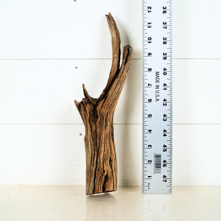 Micro Manzanita Driftwood 12"