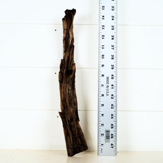 Micro Manzanita Driftwood 15"