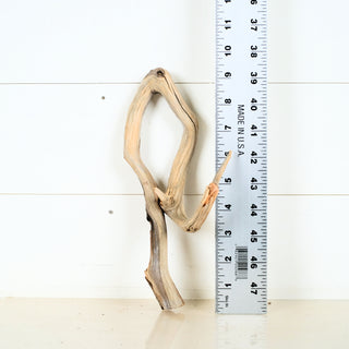 Micro Manzanita Driftwood 9.5"