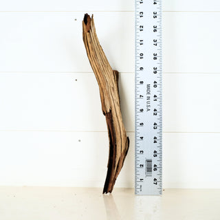 Micro Manzanita Driftwood 13"