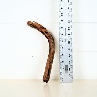Micro Manzanita Driftwood 9.25"