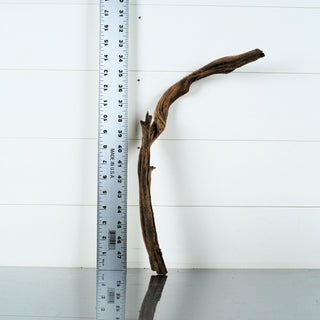 Micro Manzanita Driftwood 15" individually photographed with dark textured wood form, manzanita for pets aquarium terrarium