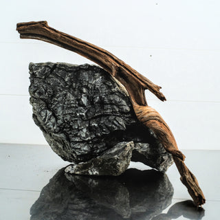 Micro Manzanita Driftwood 15" individually photographed with elongated rustic wood shape, manzanita for pets aquarium terrarium