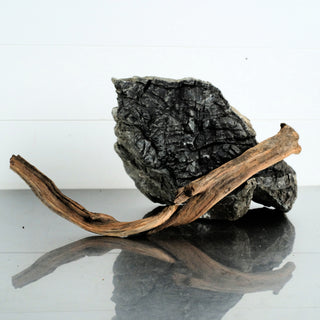 Micro Manzanita Driftwood 15 individually photographed with curved rustic form, manzanita for pets aquarium terrarium decor