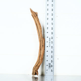 Micro Manzanita Driftwood 14.5 individually photographed with slender textured wood shape, manzanita for pets aquarium terrarium