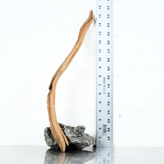 Micro Manzanita Driftwood 16" individually photographed with slender rugged form manzanita for pets aquarium terrarium