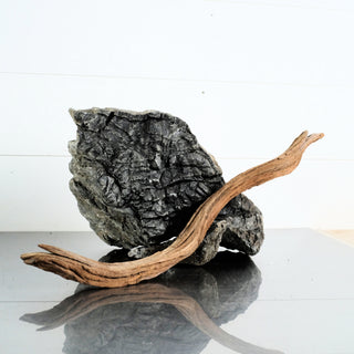 Micro Manzanita Driftwood 16" individually photographed showing natural curved wood grain, manzanita for pets aquarium terrarium