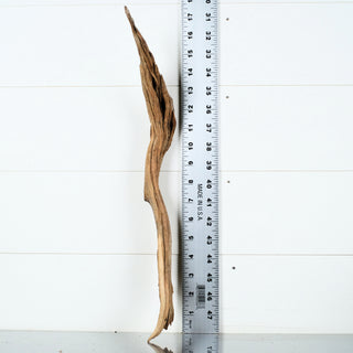 Micro Manzanita Driftwood 18" individually photographed with elongated twisted texture, manzanita for pets aquarium terrarium