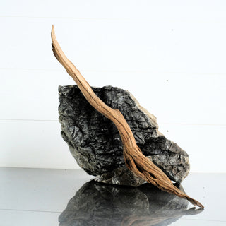 Micro Manzanita Driftwood 18" individually photographed with slender twisted wood shape, manzanita for pets aquarium terrarium