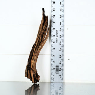 Micro Manzanita Driftwood 11.25"