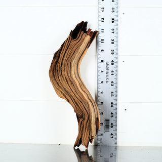 Micro Manzanita Driftwood 12"