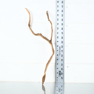 Micro Manzanita Driftwood 17" individually photographed with slender twisted branches, manzanita for pets aquarium terrarium