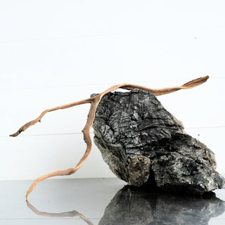 Micro Manzanita Driftwood 17 individually photographed with slender twisted branches manzanita for pets aquarium terrarium