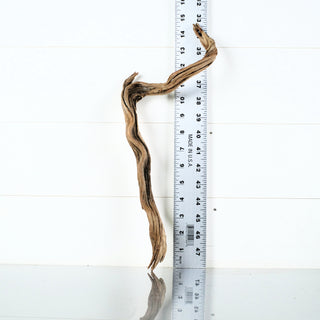 Micro Manzanita Driftwood 15" individually photographed with twisted natural wood grain, manzanita for pets aquarium terrarium