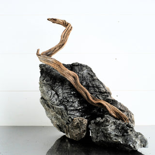 Micro Manzanita Driftwood 15 individually photographed with curved textured wood grain, manzanita for pets aquarium terrarium