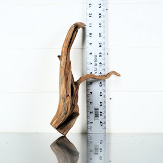 Micro Manzanita Driftwood 11.5" individually photographed with natural aged wood texture, manzanita for pets aquarium terrarium