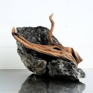 Micro Manzanita Driftwood 11.5" individually photographed with unique twisted branches manzanita for pets aquarium terrarium