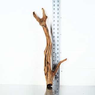 Micro Manzanita Driftwood 19.5"