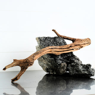 Micro Manzanita Driftwood 19.5"