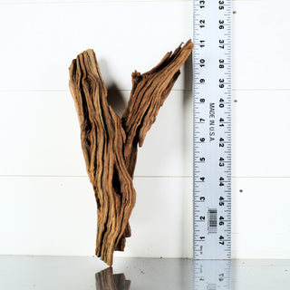 Micro Manzanita Driftwood 11"