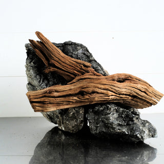 Micro Manzanita Driftwood 11"