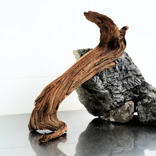 Micro Manzanita Driftwood 15"