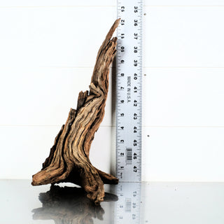 Micro Manzanita Driftwood 12.5"