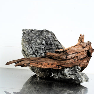 Micro Manzanita Driftwood 12.5"