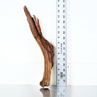 Micro Manzanita Driftwood 15"