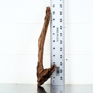 Micro Manzanita Driftwood 11"