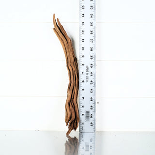 Micro Manzanita Driftwood 14.5"
