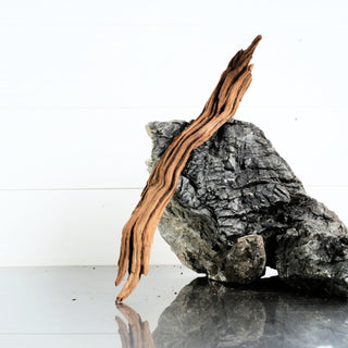 Micro Manzanita Driftwood 14.5 individually photographed with elongated twisted form, manzanita for pets aquarium terrarium