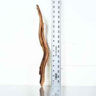 Micro Manzanita Driftwood 16.5"