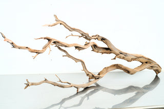 Manzanita Driftwood individually photographed with extended sculptural branches and smooth textured wood, manzanita for pets