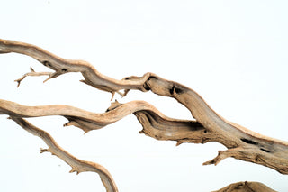 Manzanita Driftwood individually photographed with natural flowing curves and textured wood, manzanita for pets aquarium terrarium