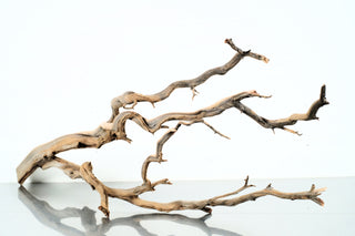 Manzanita Driftwood individually photographed with natural sculptural branches and smooth wood grain, manzanita for pets aquarium terrarium