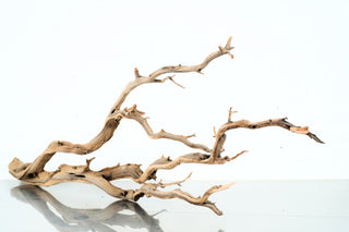 Manzanita Driftwood individually photographed with intricate twisting branches and natural textures, manzanita for pets aquarium terrarium
