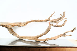 Manzanita Driftwood individually photographed with graceful extended branches and textured natural wood, manzanita for pets aquarium terrarium