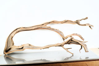 Manzanita Driftwood individually photographed with elongated natural curves and delicate textured wood, manzanita for pets aquarium terrarium