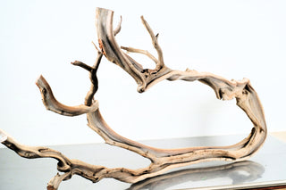 Manzanita Driftwood individually photographed with twisting flowing branches and textured natural wood, manzanita for pets aquarium terrarium