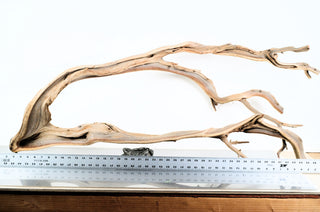 Manzanita Driftwood individually photographed with elongated flowing branches and smooth natural wood grain, manzanita for pets