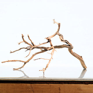 Manzanita Driftwood individually photographed with extended natural branches and smooth wood texture, manzanita for pets