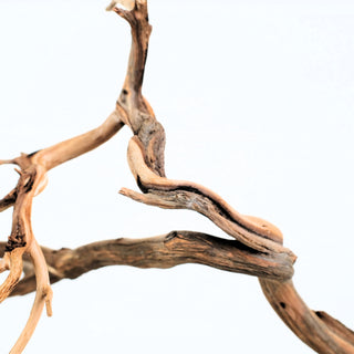 Manzanita Driftwood individually photographed with gently twisting limbs and natural wood tones, manzanita for pets aquarium terrarium